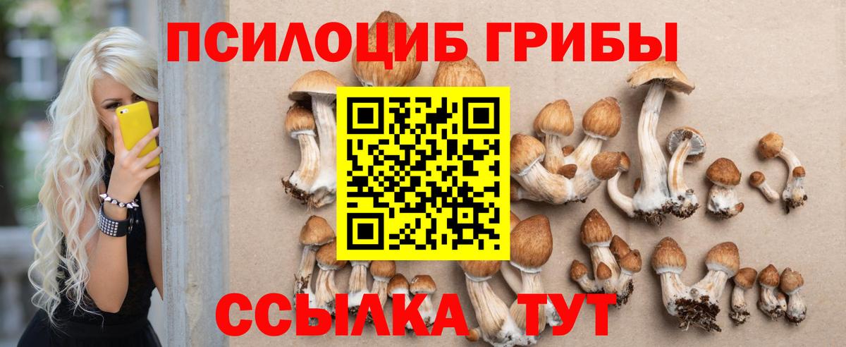 Псилоцибиновые грибы Magic Shrooms  купить наркоту  Отрадное  Вход с VPN 