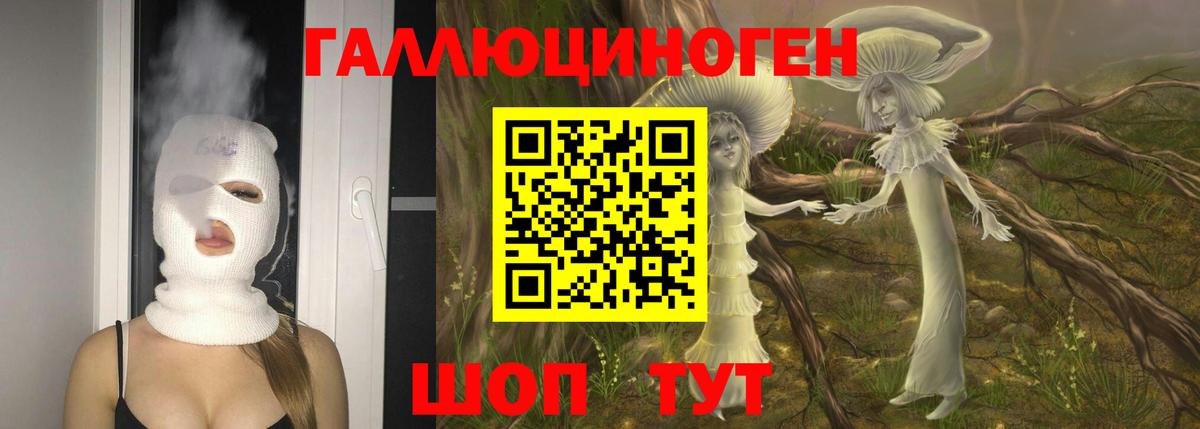 Галлюциногенные грибы прущие грибы Отрадное